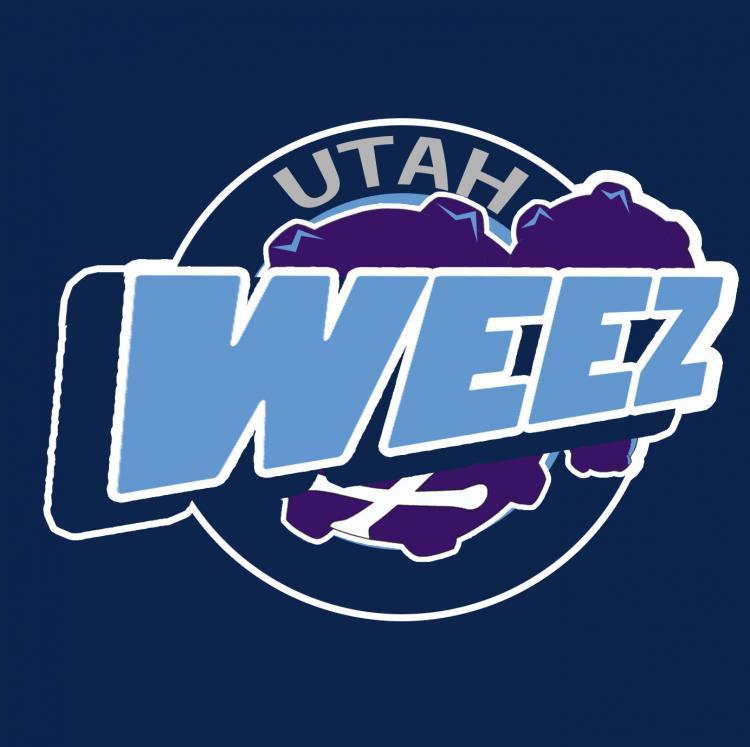 Utah Jazz Pokemon logo DIY iron on transfer (heat transfer) Utah Jazz Pokemon logo DIY iron on transfer (heat transfer)